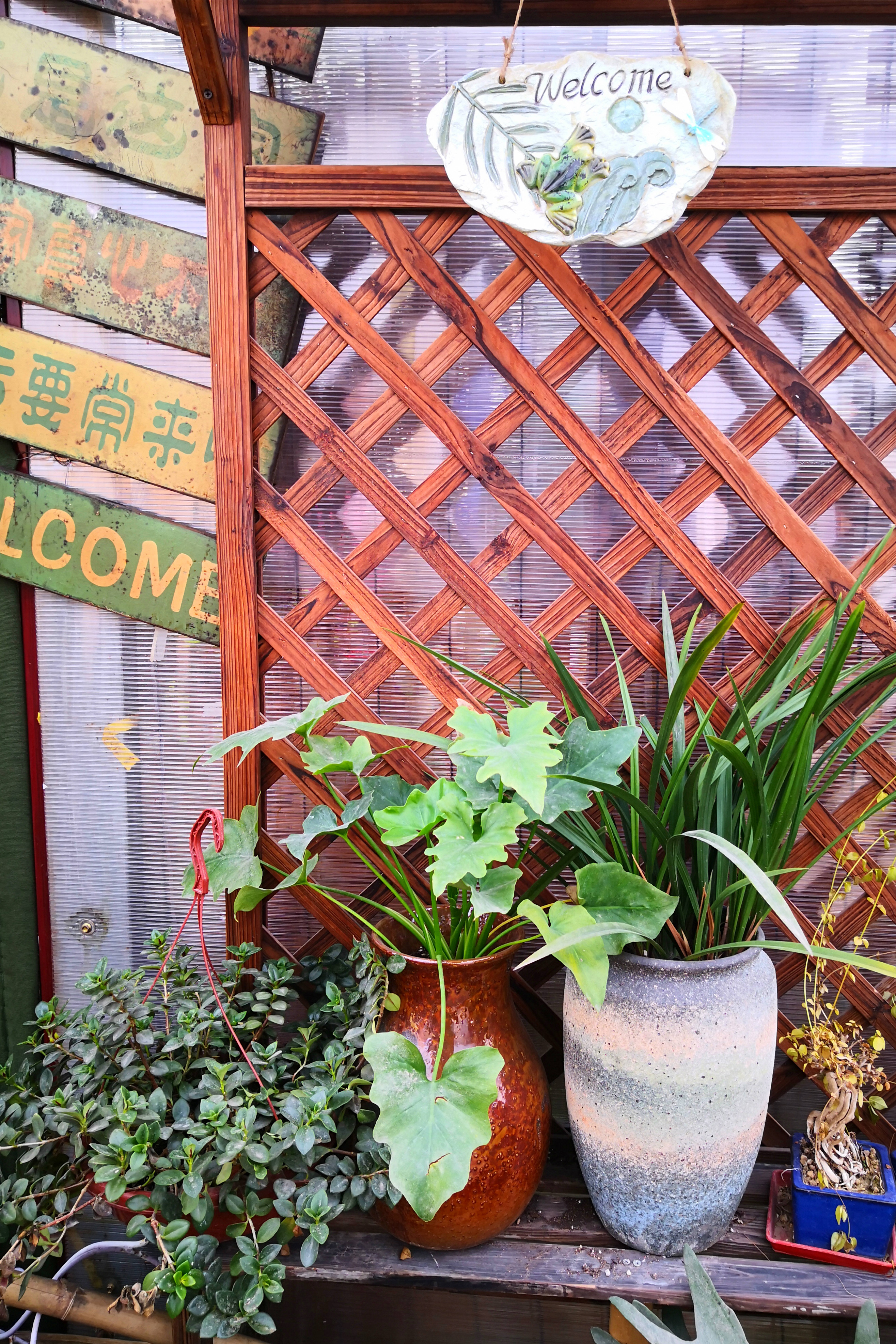 东营最大的花卉批发市场在哪里,东营地区哪里有花卉市场