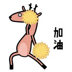 厦门一大波岗位招聘,找工作招聘信息2018厦门