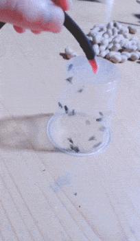 开心一刻gif搞笑动图,搞笑gif段子看起来能量满满