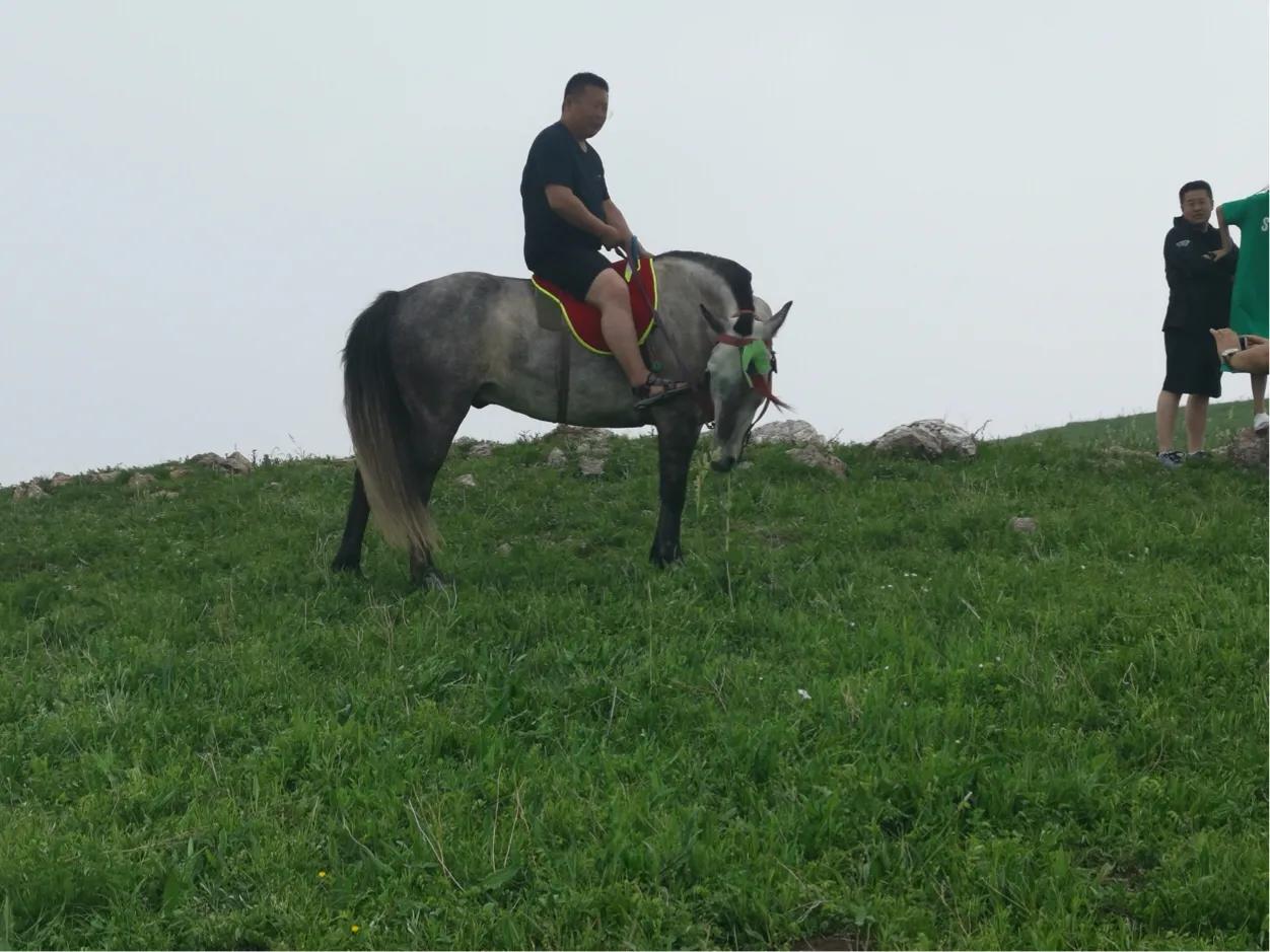 山西自驾游大同出发,山西自驾5天最佳路线图大同出发