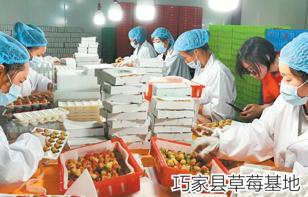 2018云南各地州招商引资,云南16州市如何招商引资