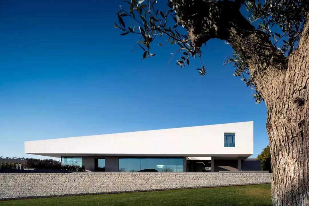 看似简单的白色极简，室内却如此惊艳