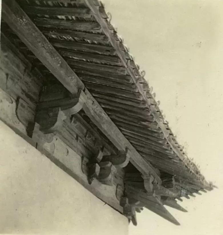 你可能没见过的姓氏,你可能没见过的日语