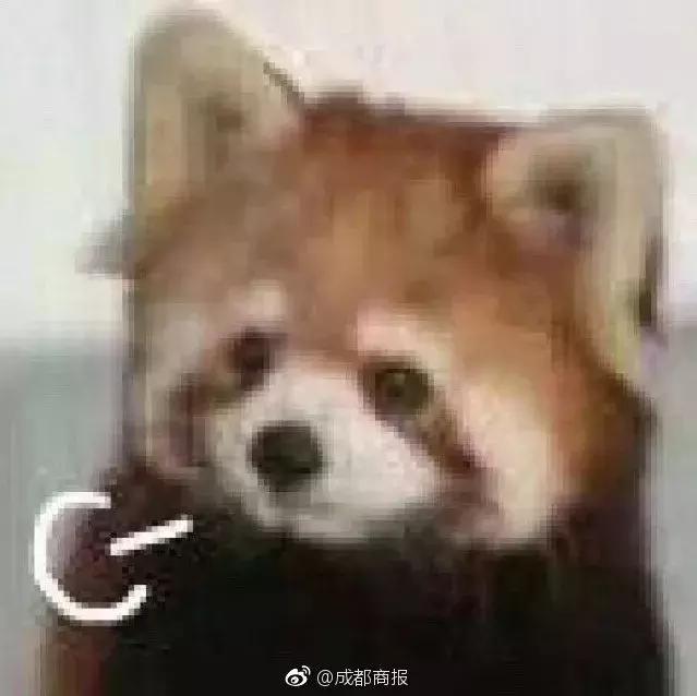 宝宝起名12个不宜用字介绍,孩子起名用这些字要当心