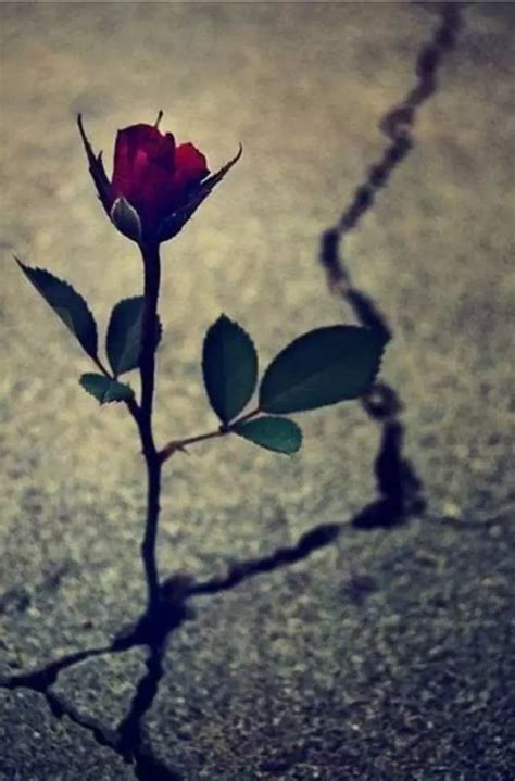 离婚后的女人应该怎么办,离婚后的女人该何去何从