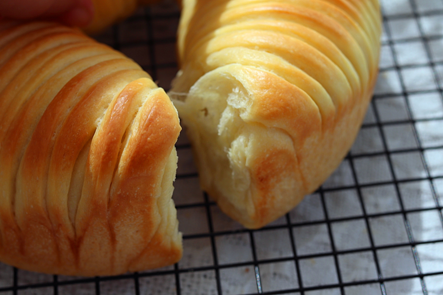 毛线团面包,用毛线编织面包