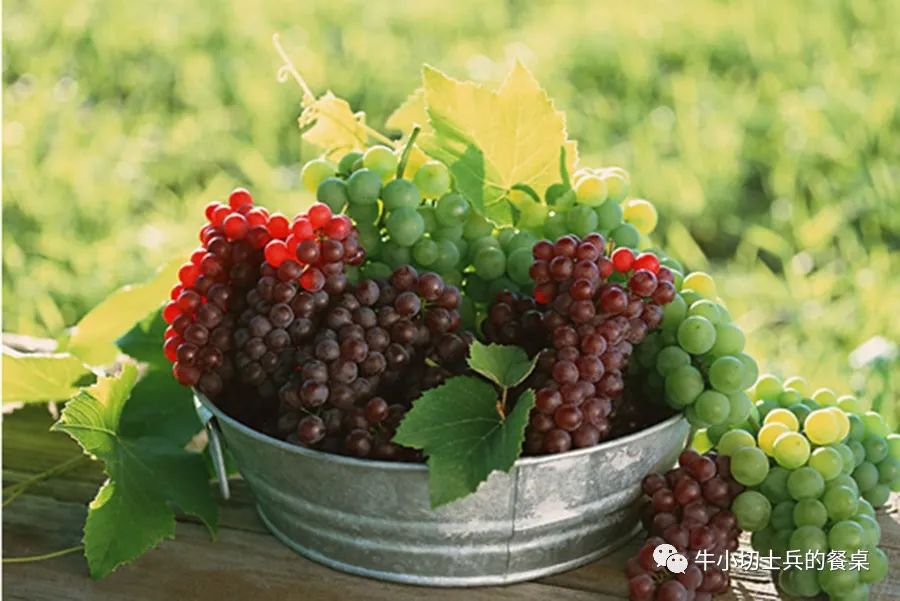 聚天地之灵气纳日月之精华道德经,聚天地之元气纳日月之精华