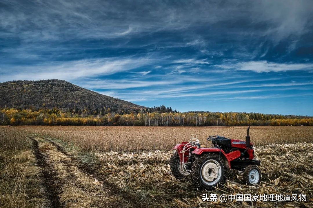 黑龙江和山东谁是农业大省,黑龙江和河南谁是第一粮仓