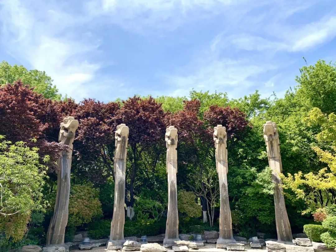 济南适合带娃去的公园,济南适合遛娃的景区