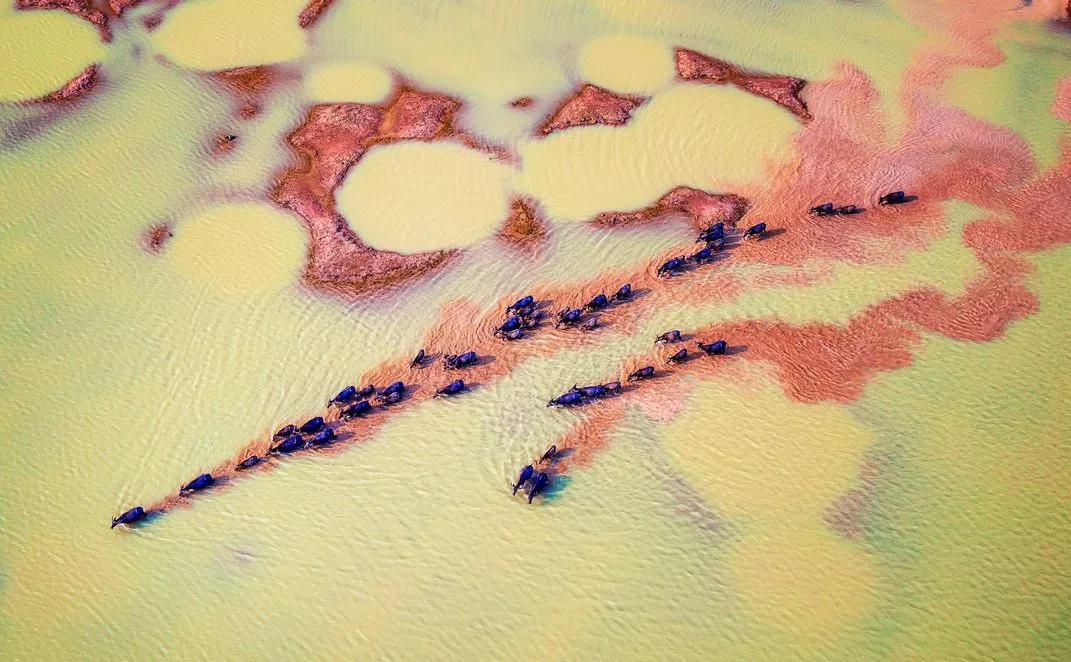 世界摄影构图大赛作品,摄影获奖的技巧和方法