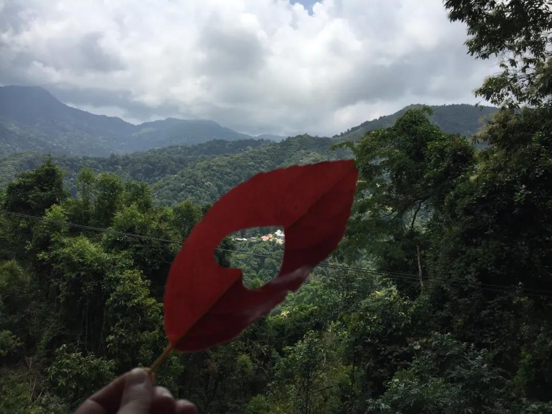 泰国清迈旅游有哪些景点好玩儿,泰国清迈有哪些旅游景点好玩