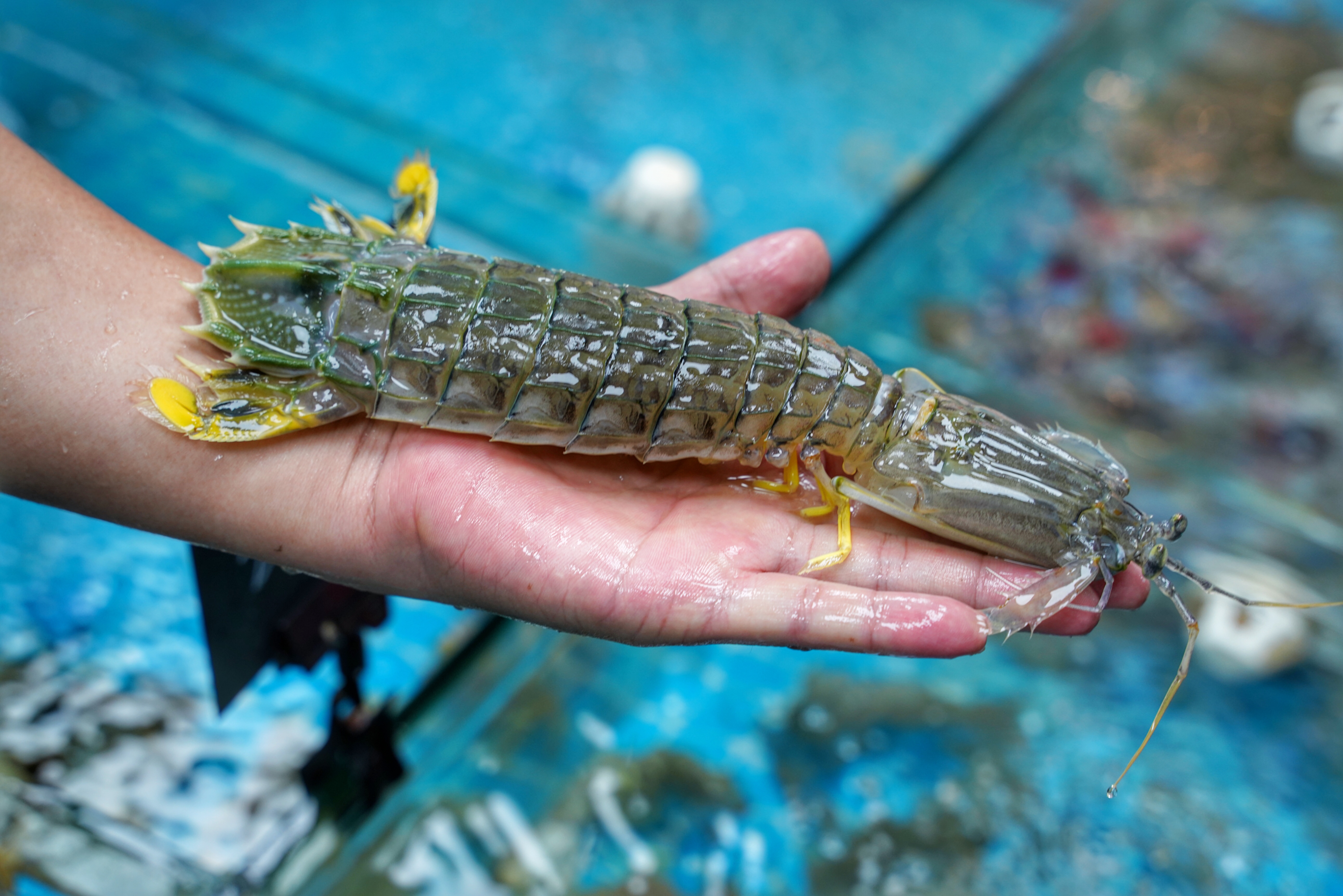 本地人都知道的海鲜大排档,都说来过还想再来