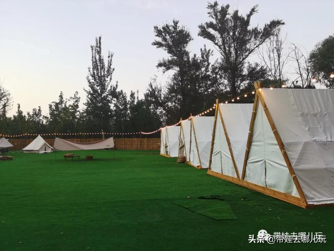 北京五环内新开萌宠乐园,除了喂动物,还能玩大滑梯、免费享帐篷