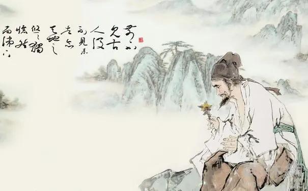 艾草行业网红,艾叶抖音网红