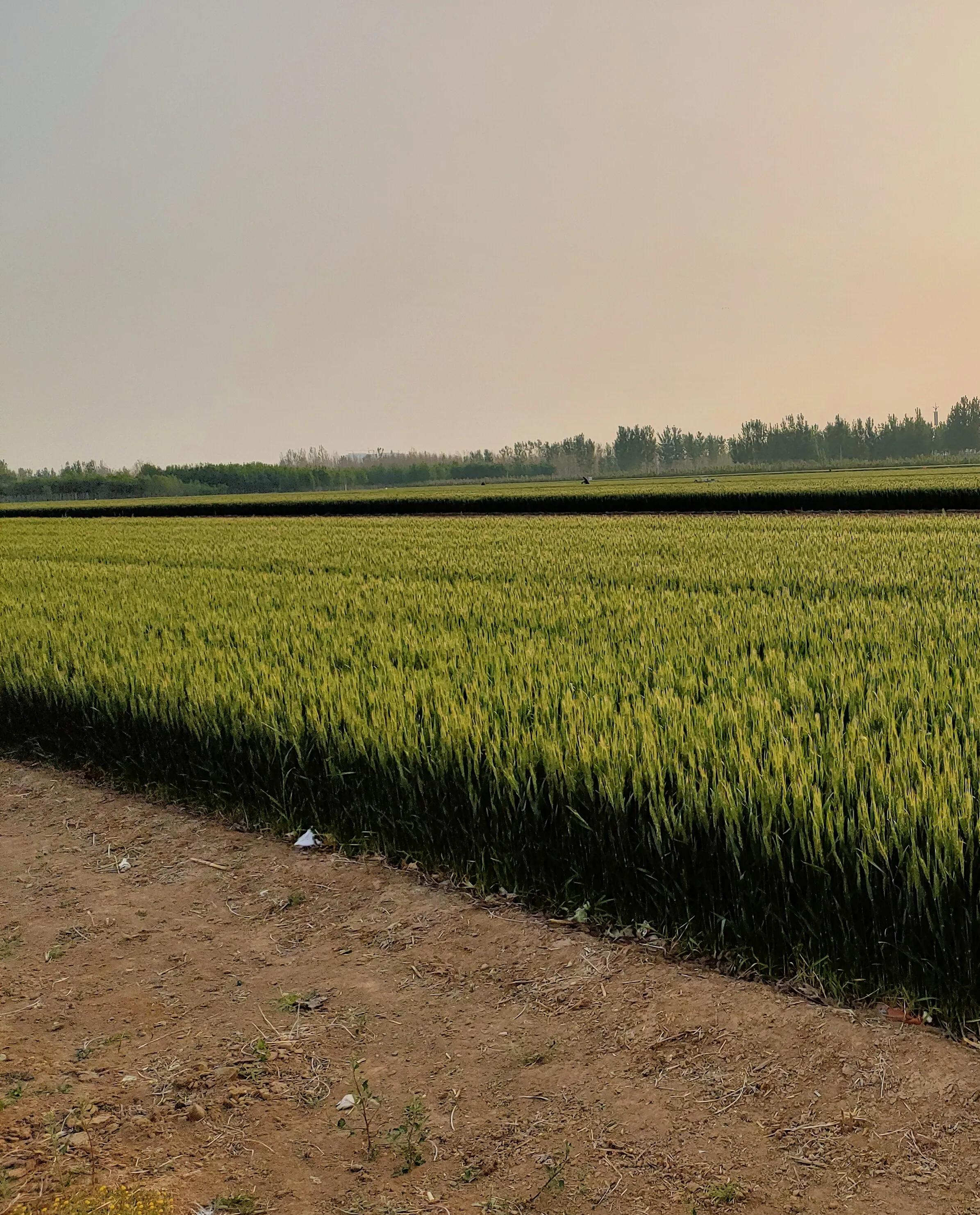 涿州这个城市好吗,涿州这座小城