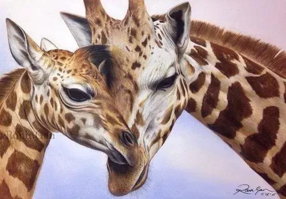 画得比实物好看,彩铅怎么样能画好看