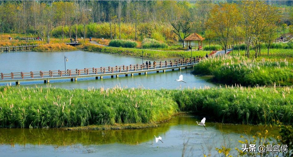 3月底天府绿道哪段最美,天府绿道彩色油菜花