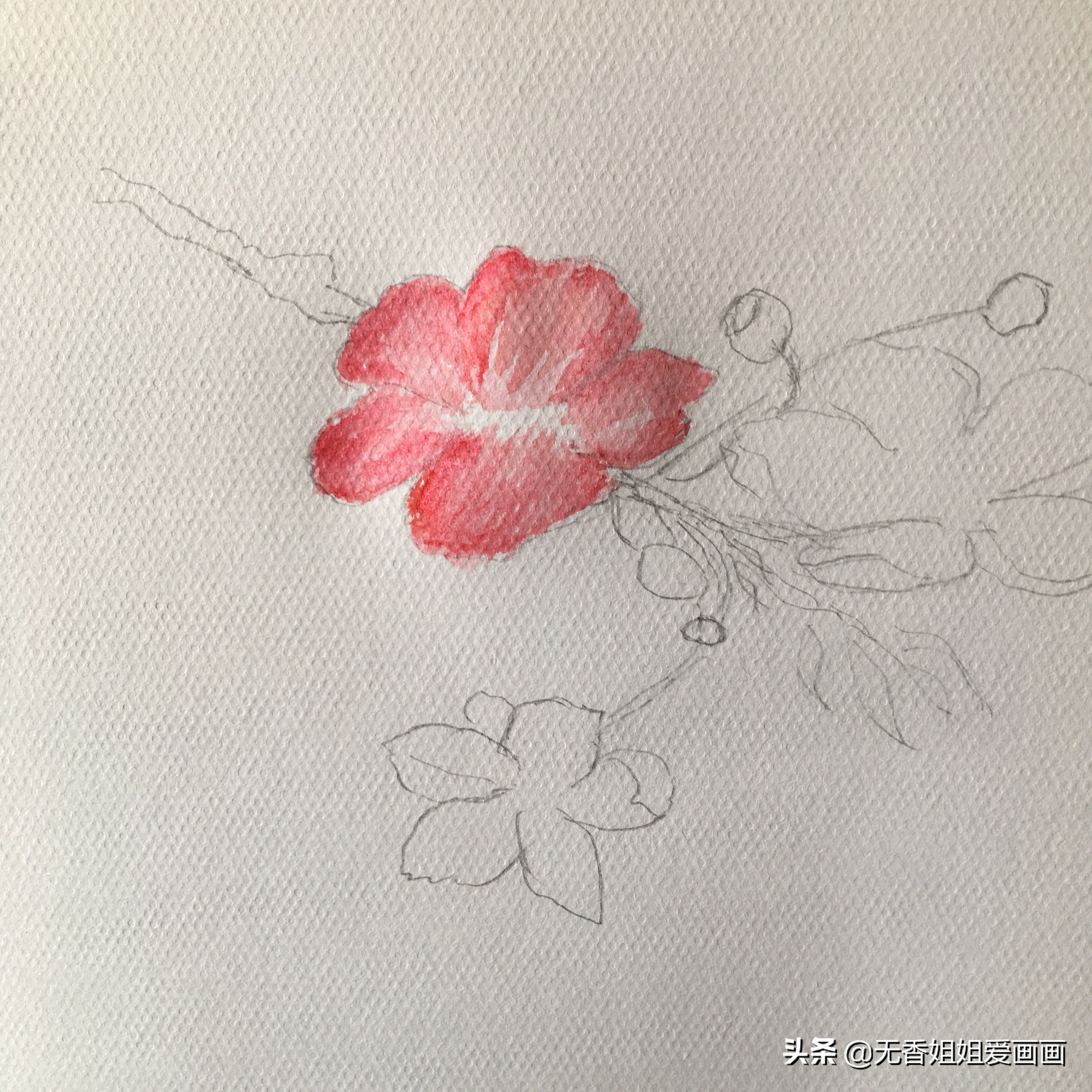 手绘桃花图片小学,马克笔手绘教程桃花