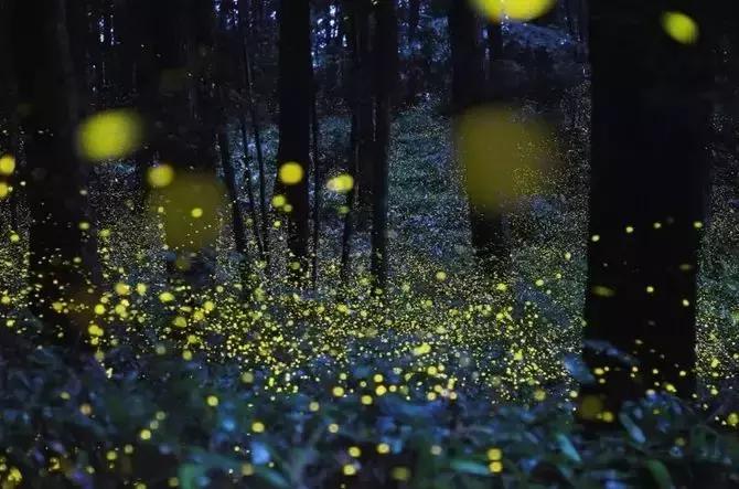 成都耍水露营避暑的景点推荐,热得冒烟的天气