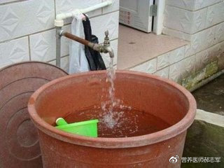 营养师鲜食海参,营养师对海参的看法