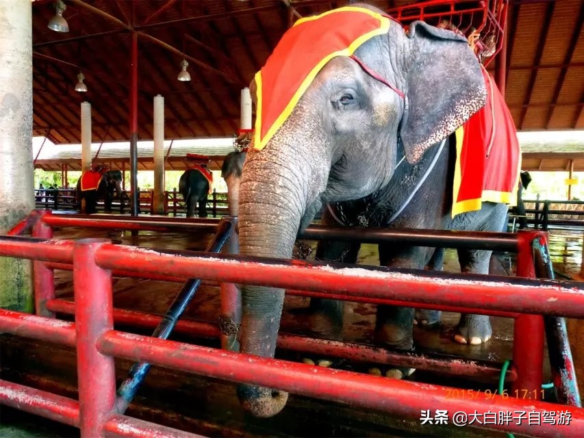 泰国风情之旅完整版小说,泰国风情十日游