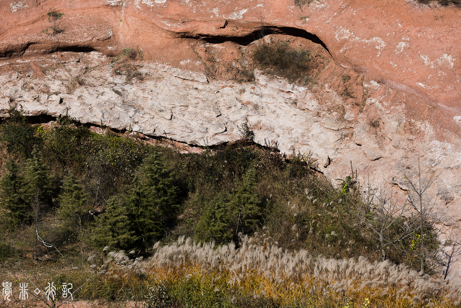 莱阳白垩纪国家森林公园,莱阳白垩纪公园