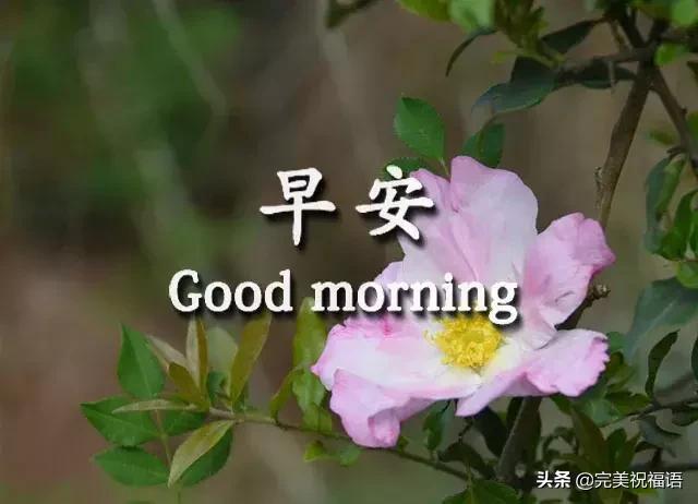 早安手机短信,发给朋友早上好短信