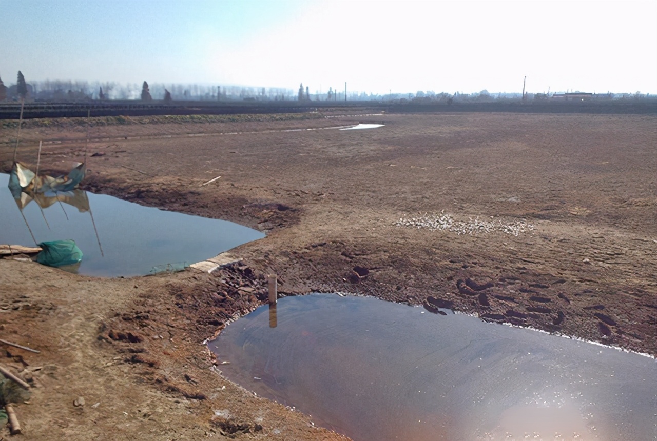 倒春寒螃蟹塘怎么办,低温寒潮鱼塘如何应对