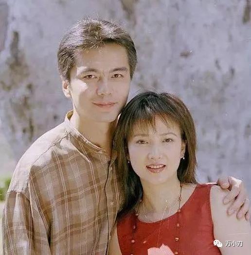 江南美人何晴的狗血情史,廖京生和许亚军合作的电视剧