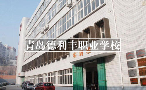 青岛德利丰职业培训学校宠物美容,山东青岛德利丰职业培训学校