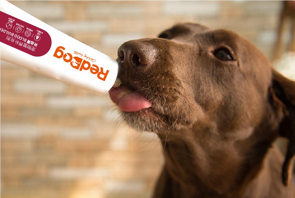 狗狗贫血吃补血膏好还是营养膏好,狗狗贫血补血营养膏