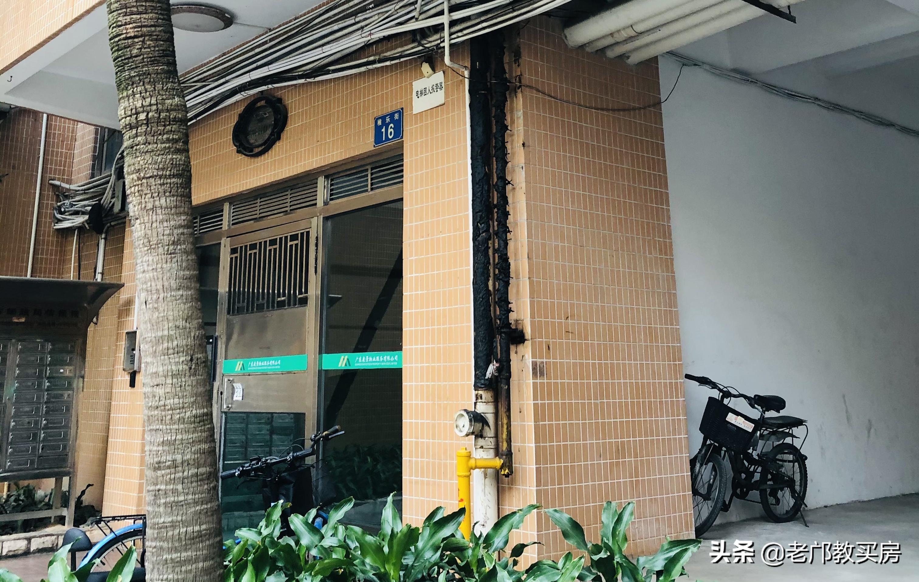 骏景属于什么系,骏景有多少户