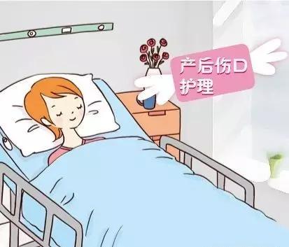 新手妈妈必备的护理知识,母狗产后护理三大禁忌
