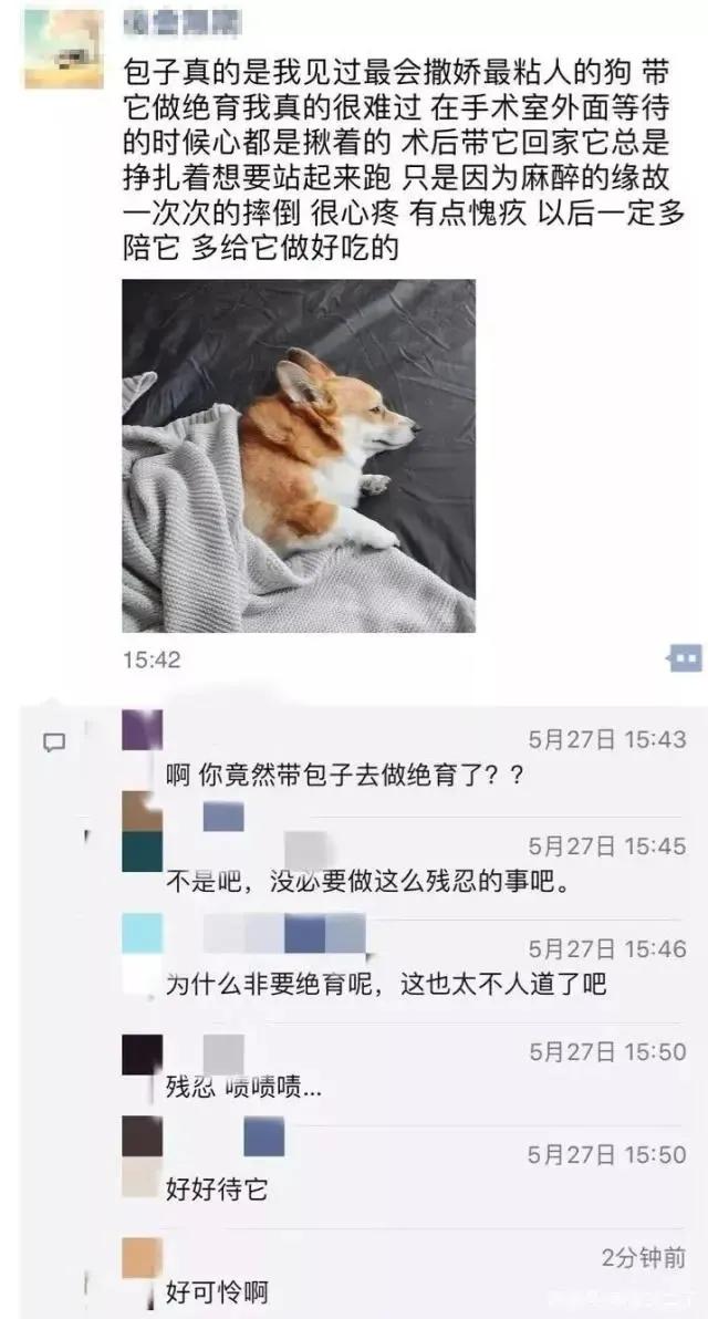 宠物可以用的避孕药,宠物紧急避孕药有用吗