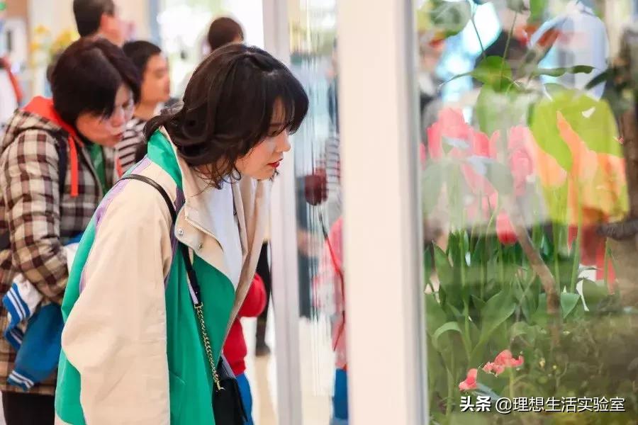 龙湖成都金楠天街,成都龙湖金楠天街哪一期最好