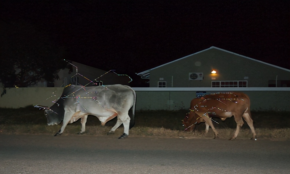 鐚庢潃ai娓告垙瑙嗛,鐚庢潃ai鑷瀯csgo