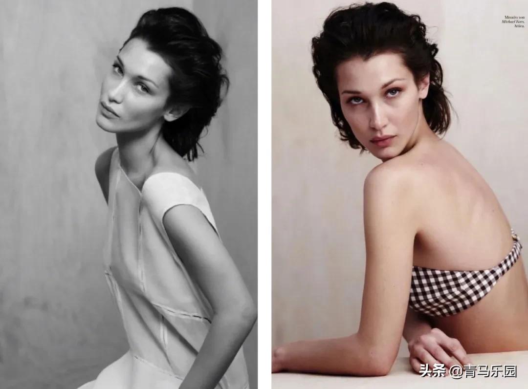 超模贝拉哈迪德简历,贝拉哈迪德马术