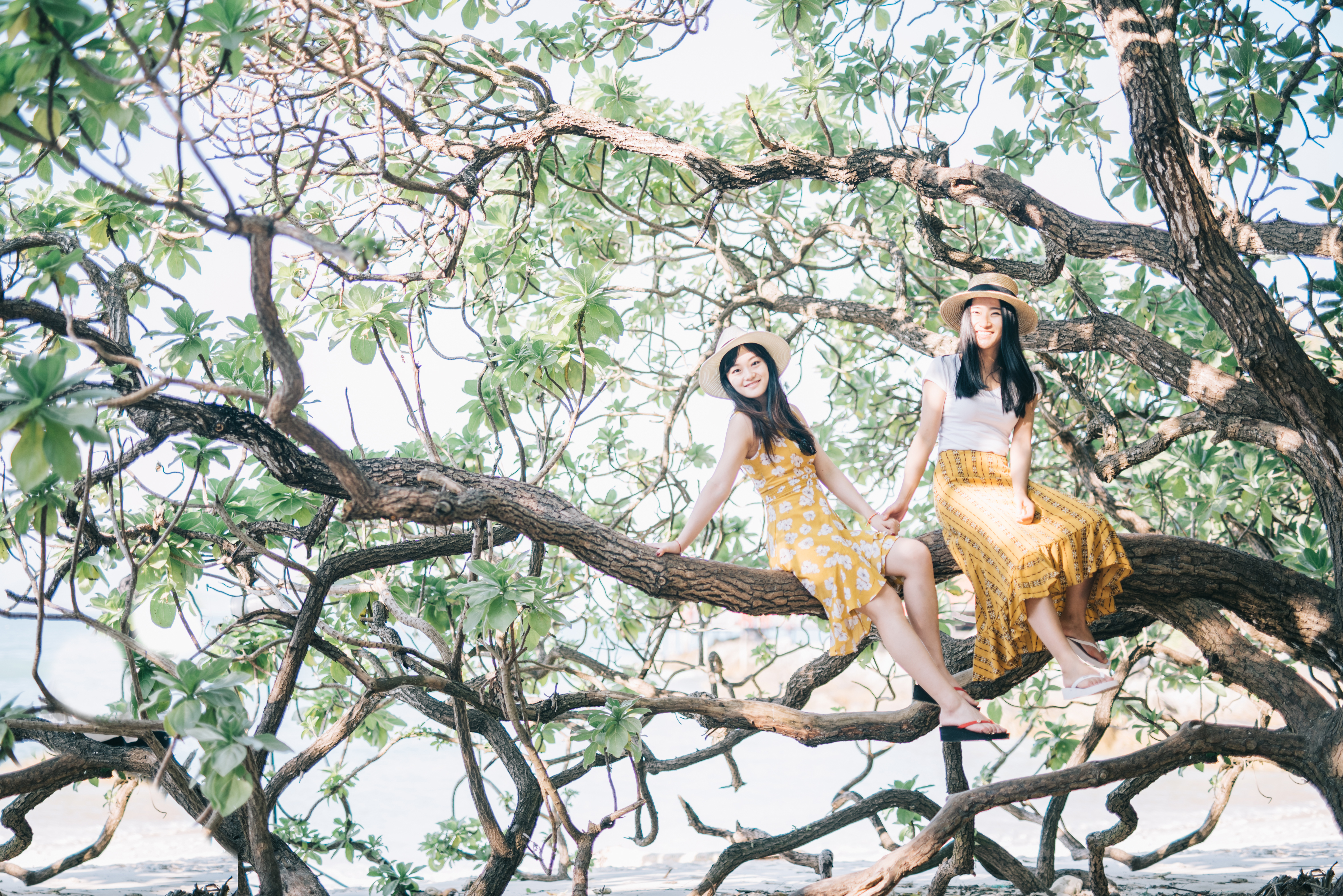 三亚旅游业恢复到旺季的火爆视频,三亚旅游业什么时候能恢复正常