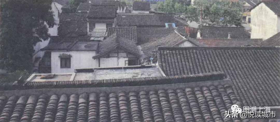 悦读城市浦东,悦读城市上海