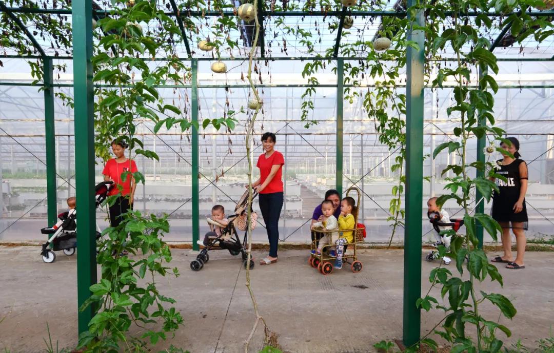 江西省第25届摄影展征稿,第十一届摄影作品展