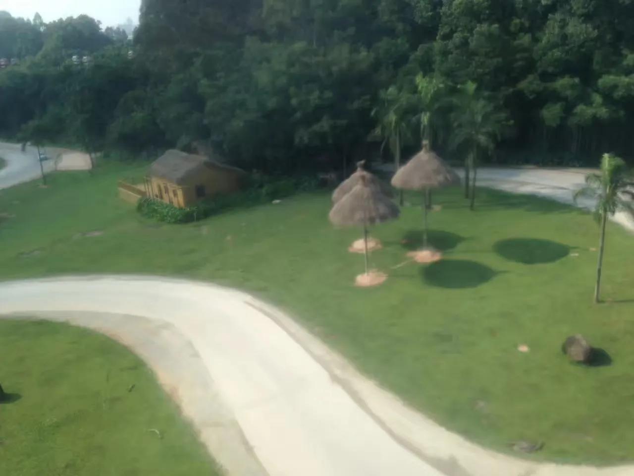 广州长隆野生动物园最全游玩攻略,长隆野生动物园游玩攻略