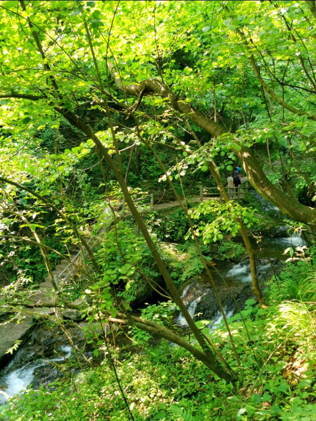 曾经的穷山沟：重渡沟，如今华丽变身河南最美乡村之一