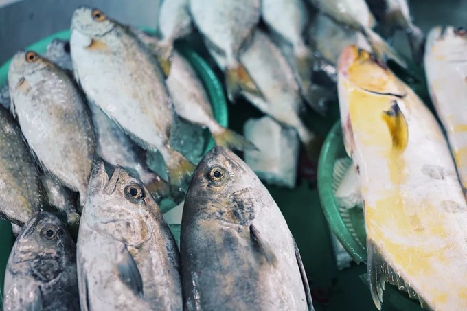 东南亚最新旅行,越南旅游攻略最全最新