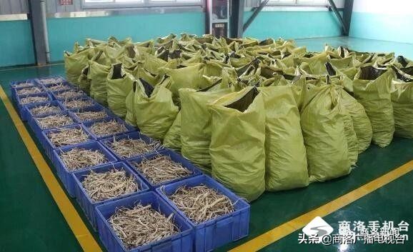 2018商洛市重大项目观摩排名出炉,2018年商洛市重大项目