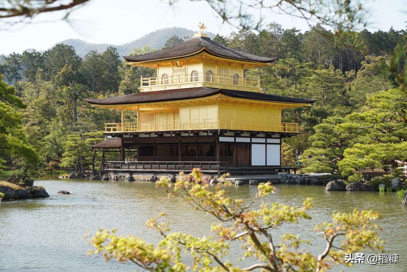 大阪京都双城半自助，不是跟团也不是自助，最合理实惠的关西玩法