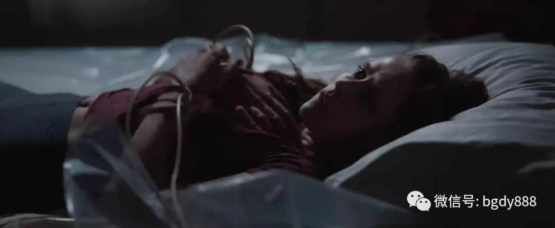 想环游世界的文章,想环游世界短文