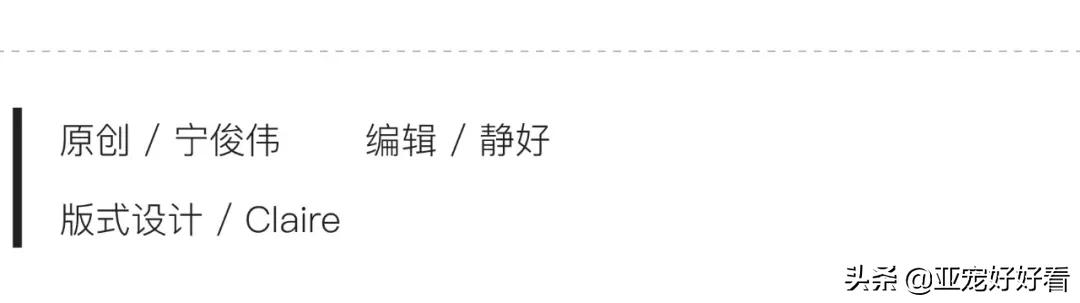 听话的店狗能带来多少生意！如何用“训练”改变活体销售困局