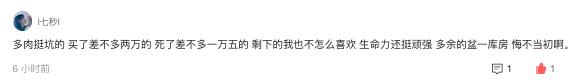 80后夫妻卖房来大理养30万盆多肉,80后夫妻卖房养多肉