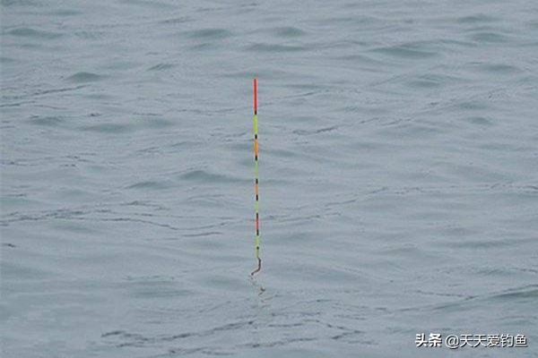 一钩触底一钩悬浮怎么调漂图解,朝天钩立漂调漂的正确方法图解