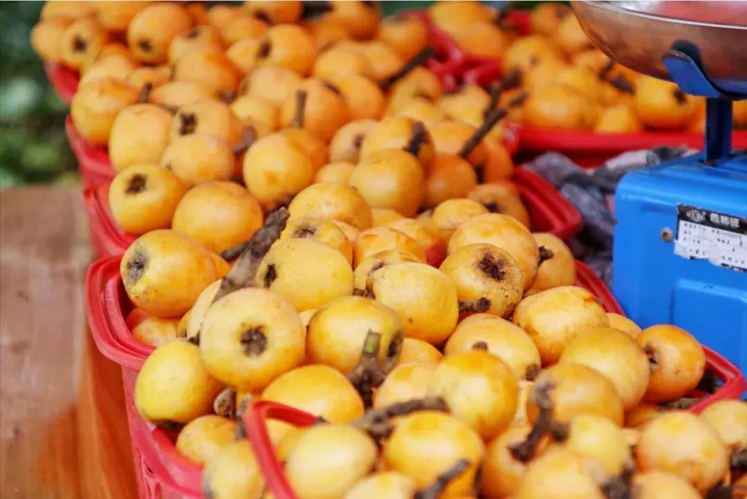 惊险刺激的飞拉达,刺激的飞拉达